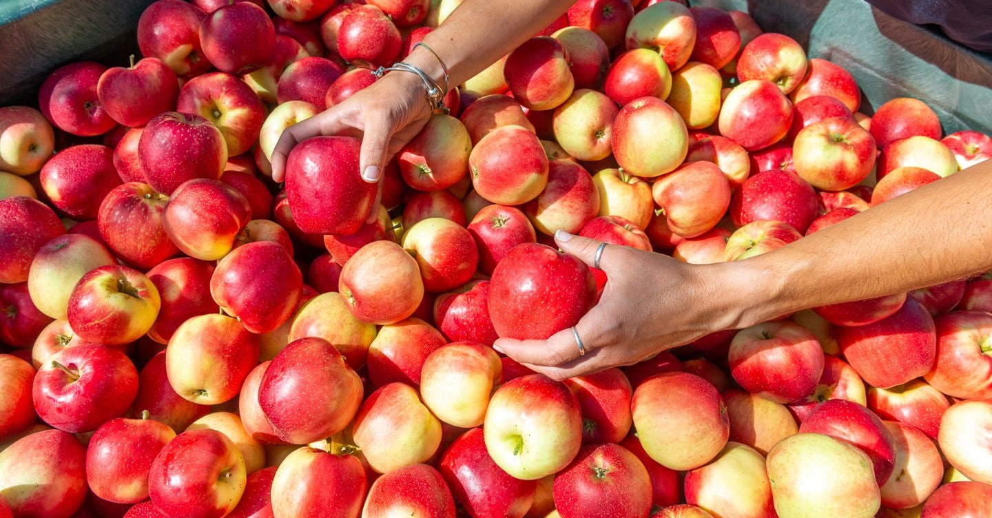 Melinda, bilancio di previsione positivo in quadro complesso
